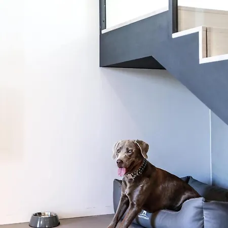 Exklusives Auf Fehmarn * Schlagsdorf (Fehmarn)